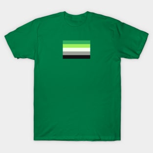 Aro Flag T-Shirt